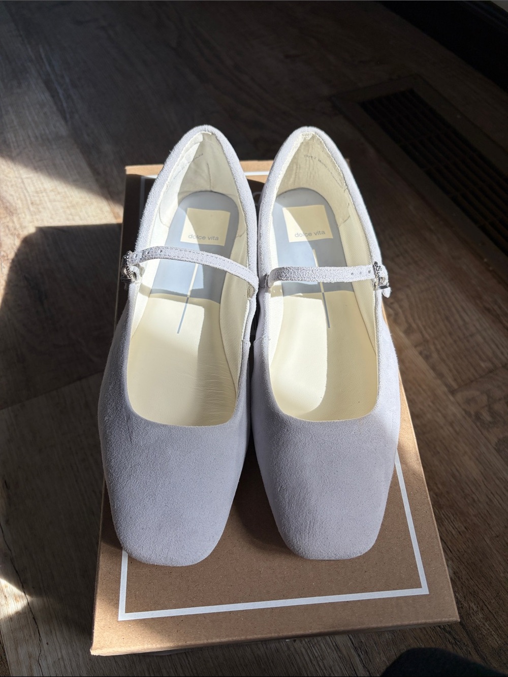 Dolce Vita Mary Jane flats in Dusty Blue